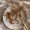 jewelry-blog-2
